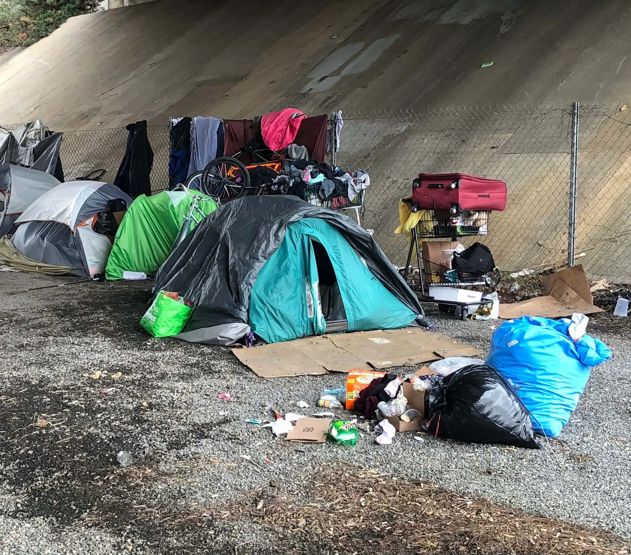 Louisiana House Advances Bill Addressing Public Camping, Homelessness Response