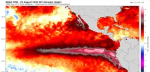 A Potentially Historic El Niño Is Developing