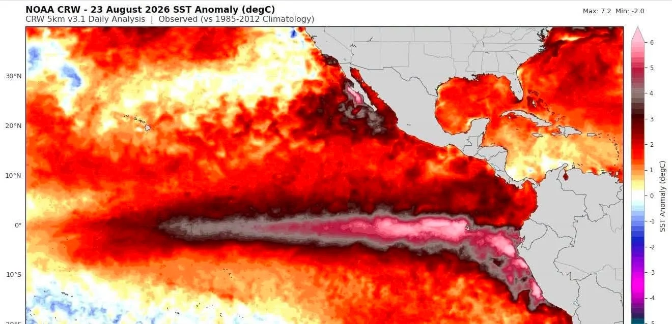 A Potentially Historic El Niño Is Developing
