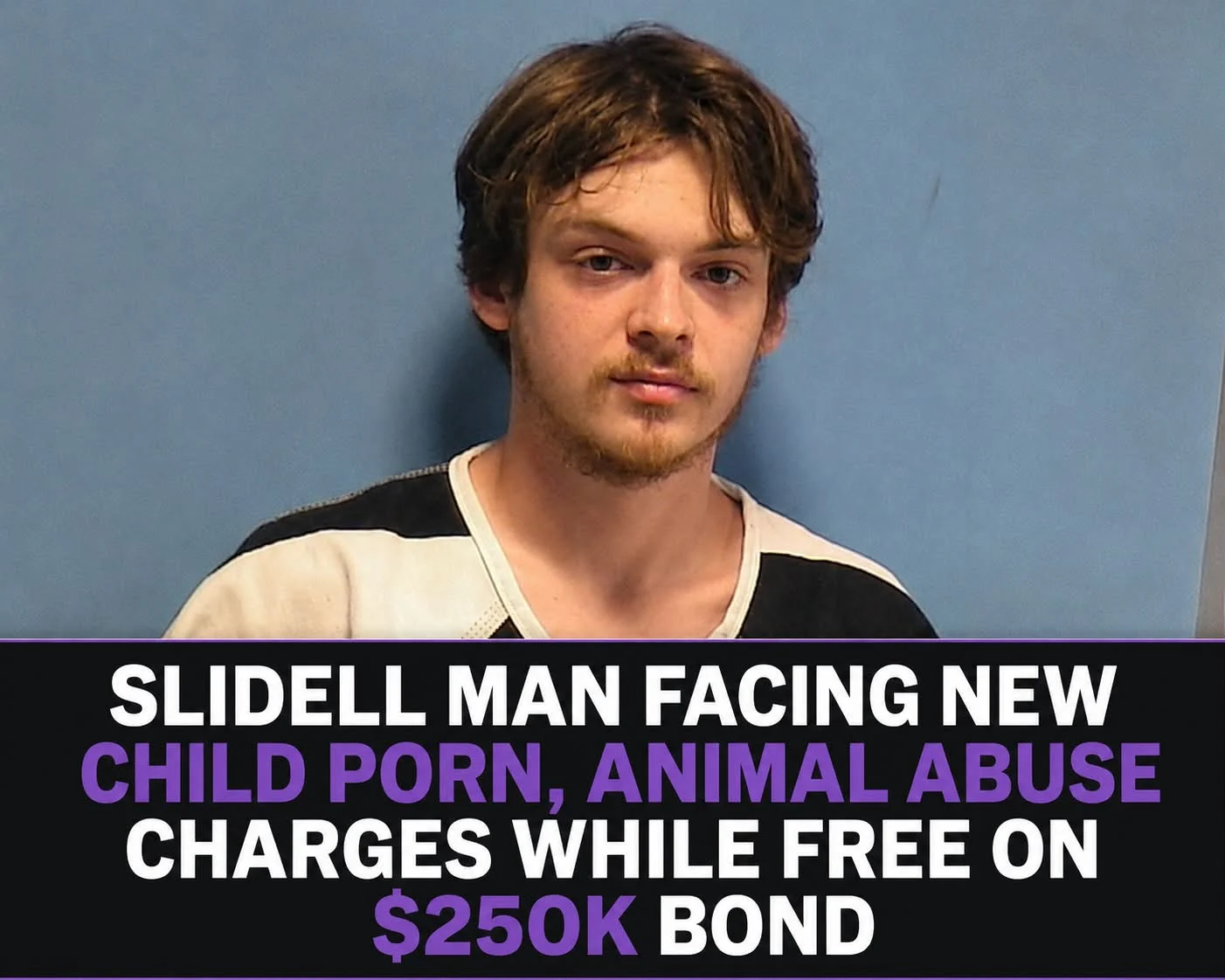 Slidell Man Facing New Child Porn, Animal Abuse Charges While Free on $250K Bond